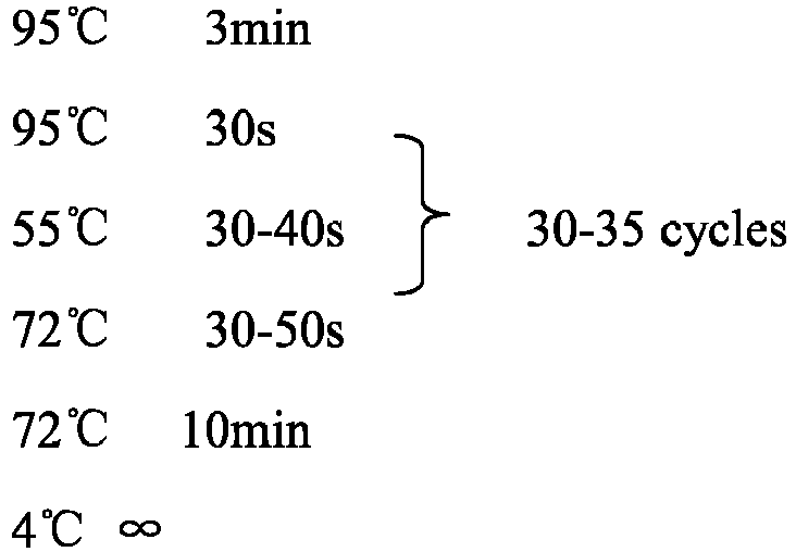 Figure imgb0001