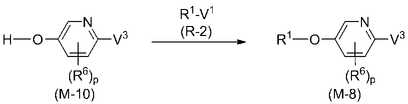 Figure JPOXMLDOC01-appb-C000023