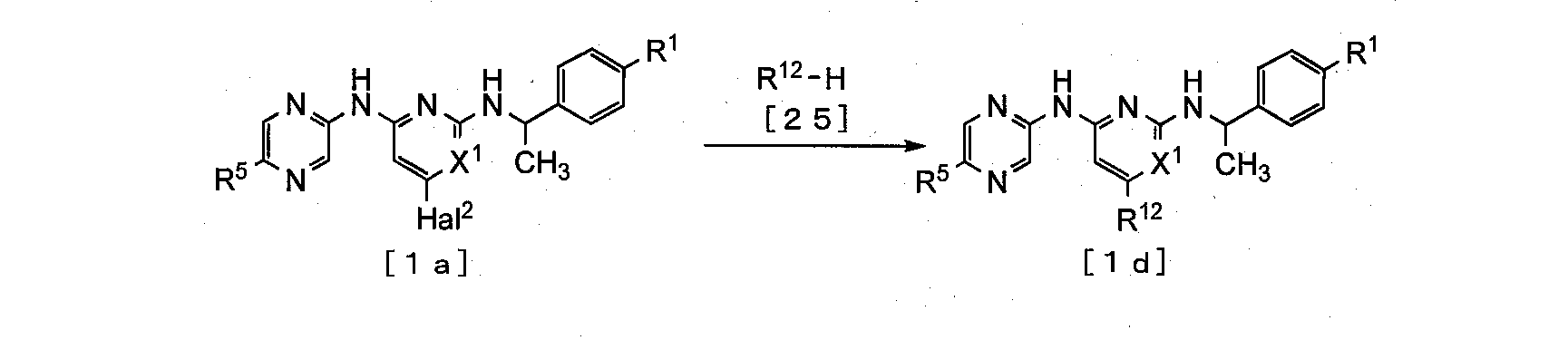 Figure JPOXMLDOC01-appb-C000056