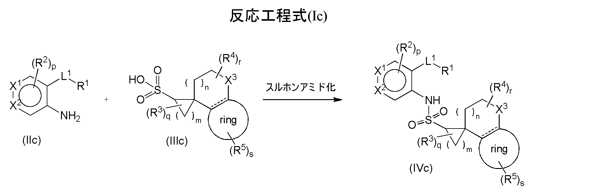 Figure JPOXMLDOC01-appb-C000034