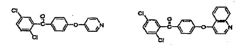 Figure imgb0013