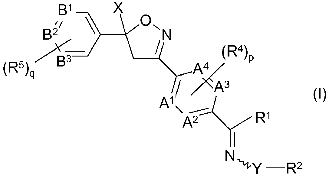 Figure imgb0002