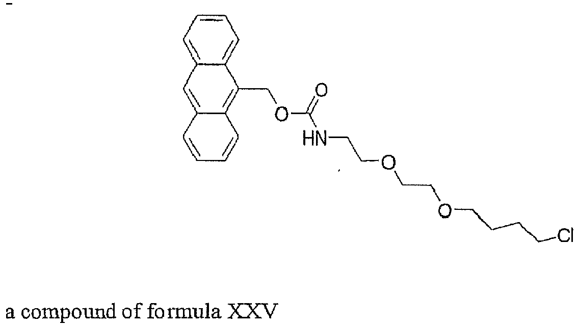 Figure imgb0024