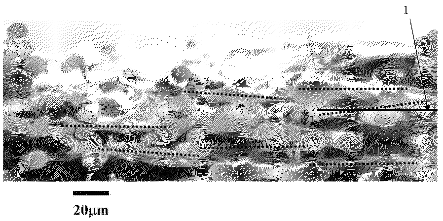 Figure 0005356540