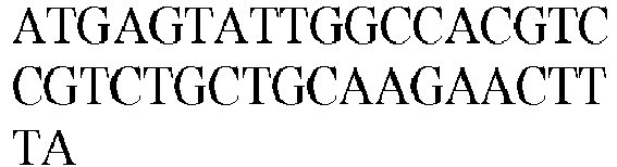 Figure imgb0504
