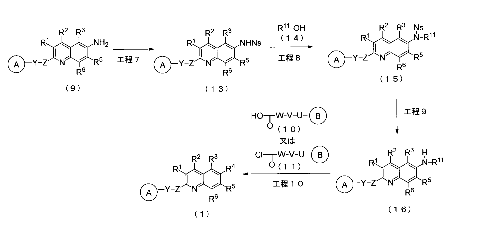 Figure JPOXMLDOC01-appb-C000024
