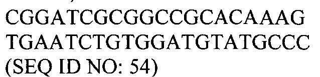 Figure imgb0017