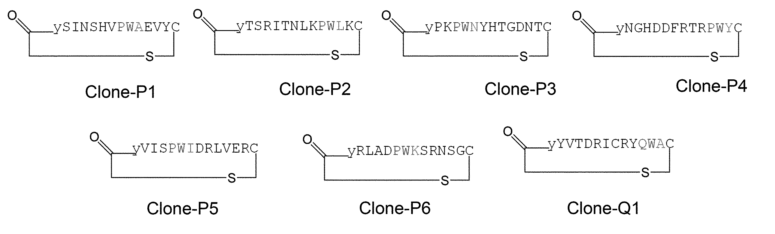 Figure JPOXMLDOC01-appb-C000048