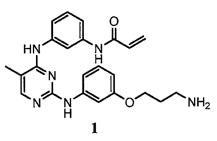 Figure pat00600