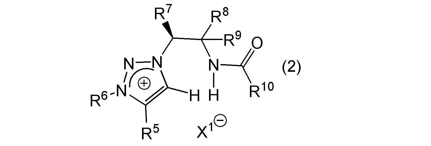 Figure JPOXMLDOC01-appb-C000025