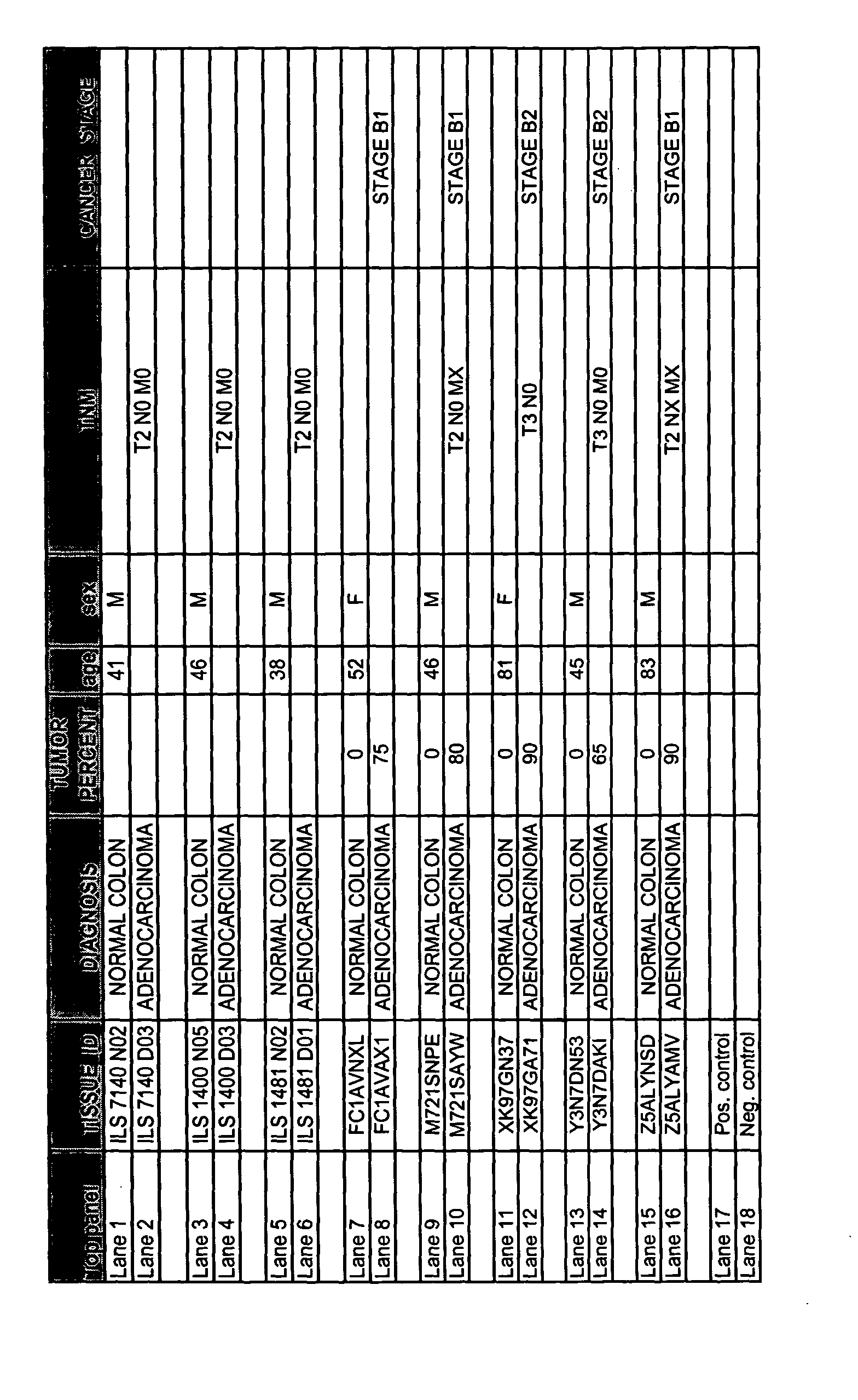 Figure 00310001