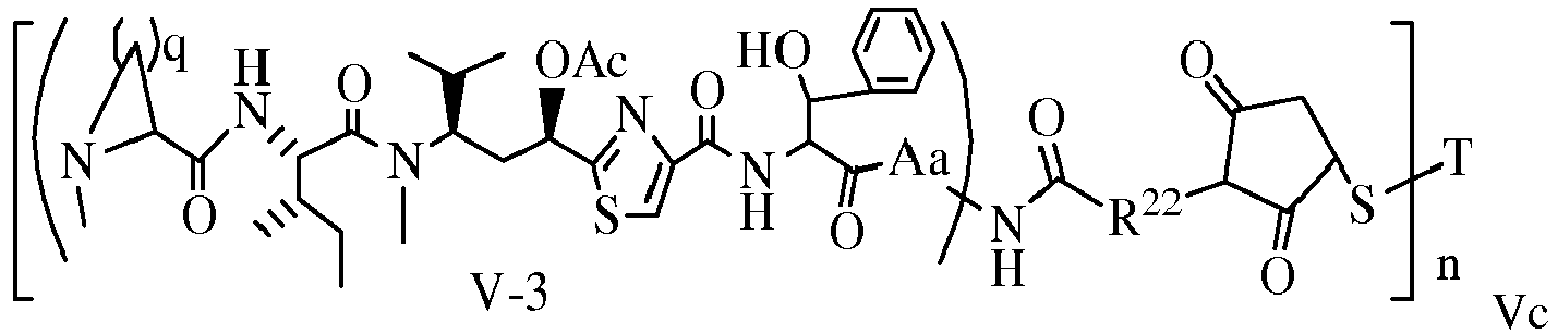 Figure imgb0050