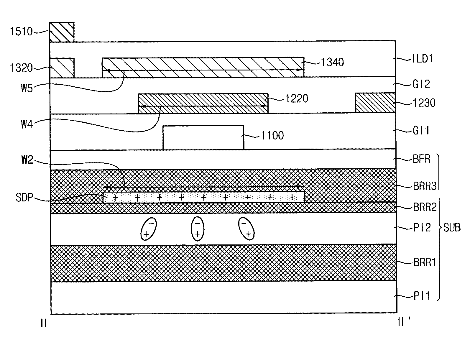 Figure R1020200058321