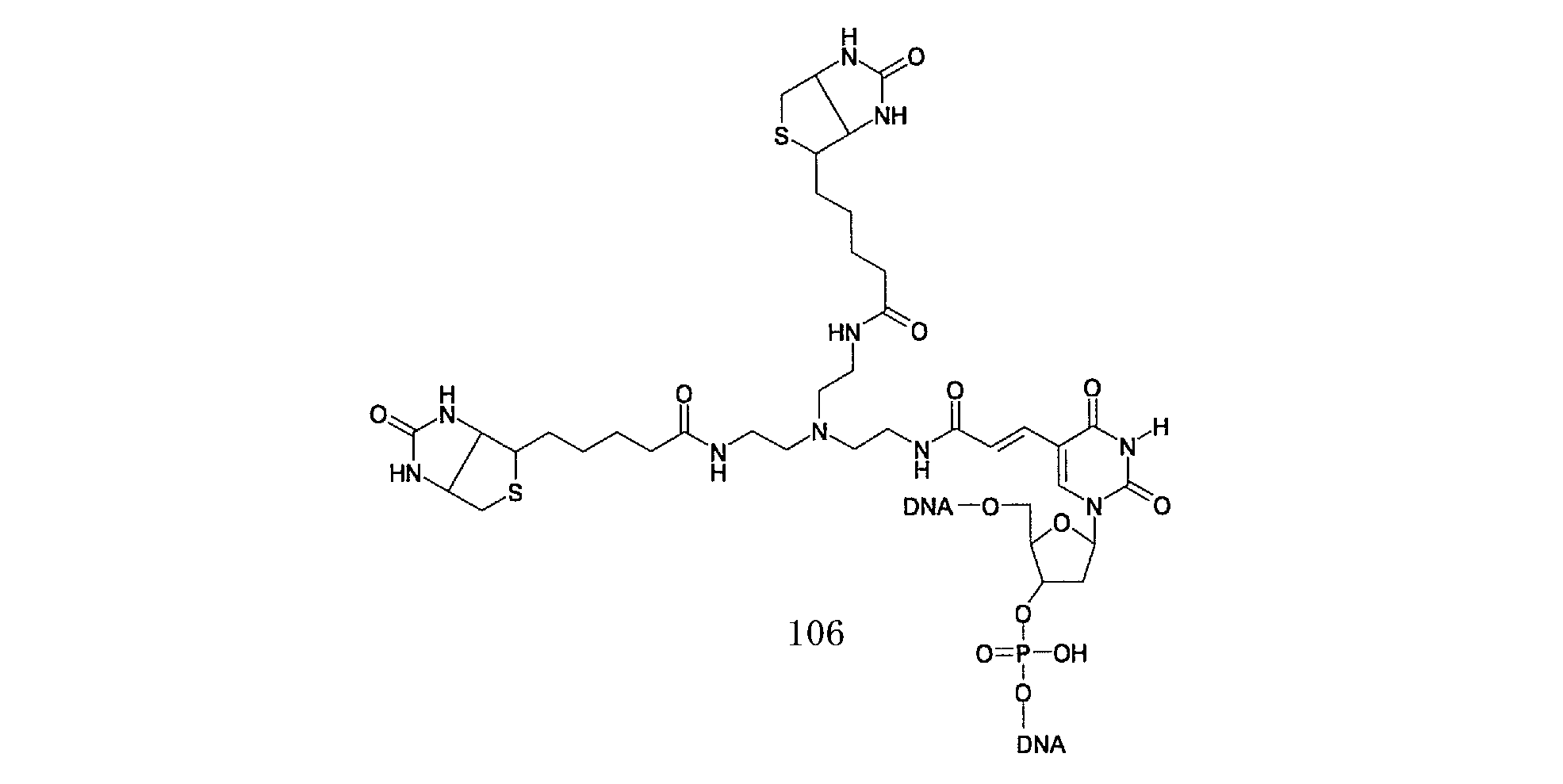 Figure JPOXMLDOC01-appb-C000023