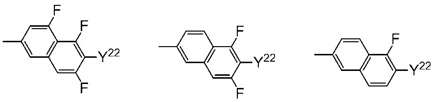 Figure JPOXMLDOC01-appb-C000049