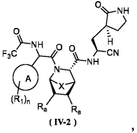 Figure imgb0024