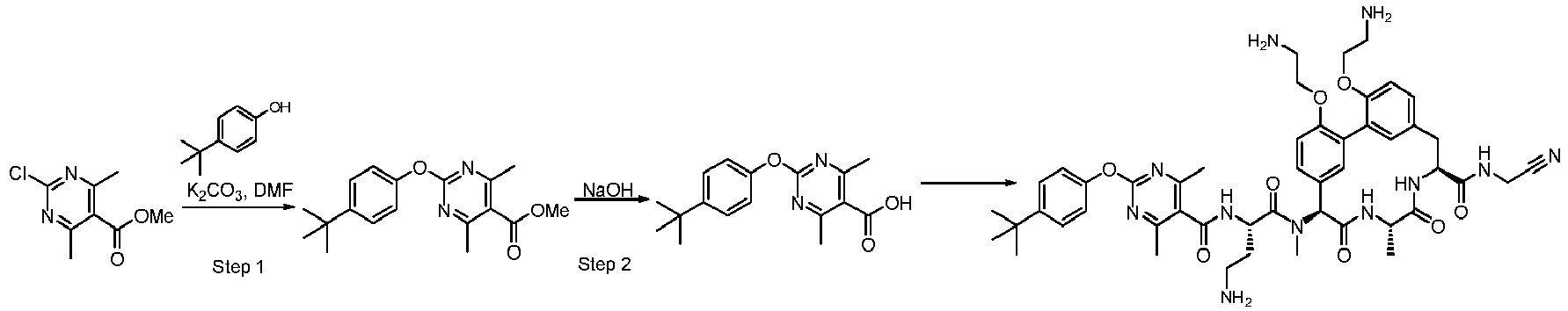 Figure imgb0691