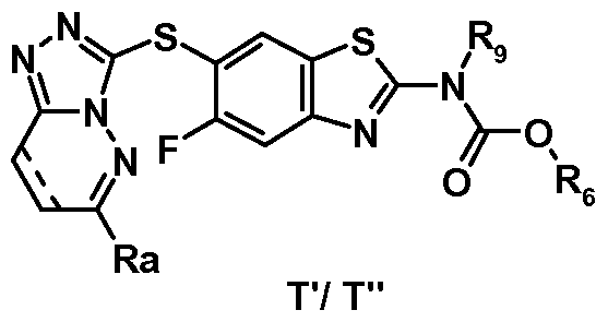 Figure imgf000044_0003