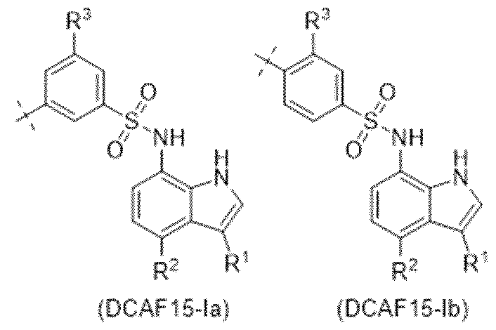 Figure imgf000034_0002