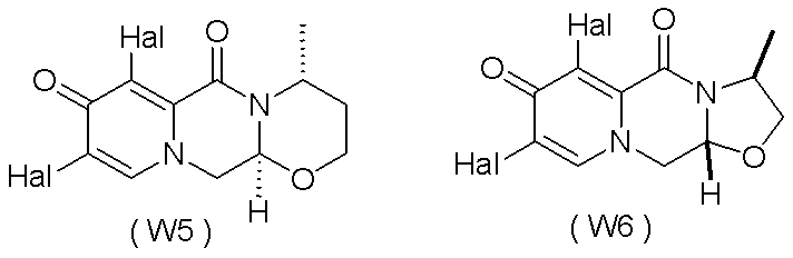 Figure JPOXMLDOC01-appb-C000041