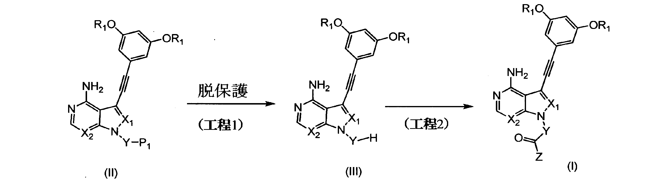 Figure JPOXMLDOC01-appb-C000061