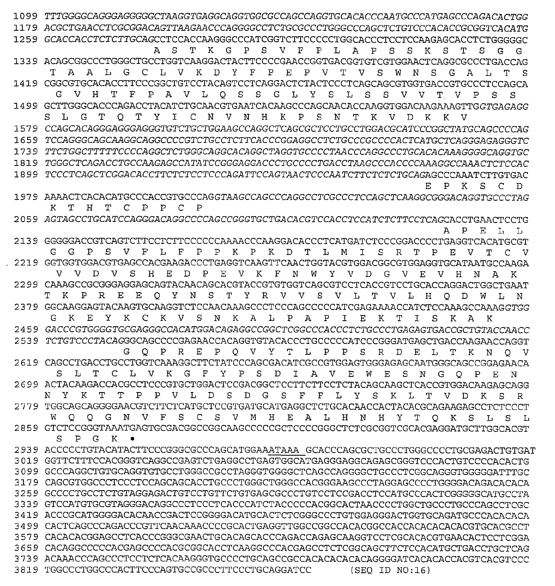 Figure imgb0024