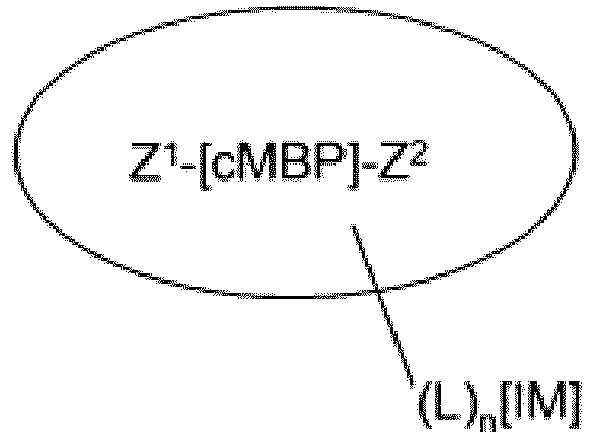 Figure imgb0019