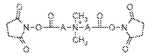 Figure imgf000098_0004