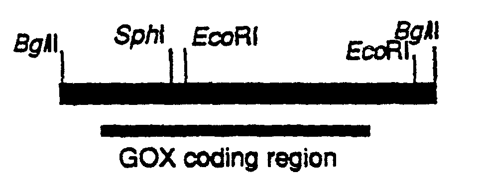 Figure 00390001