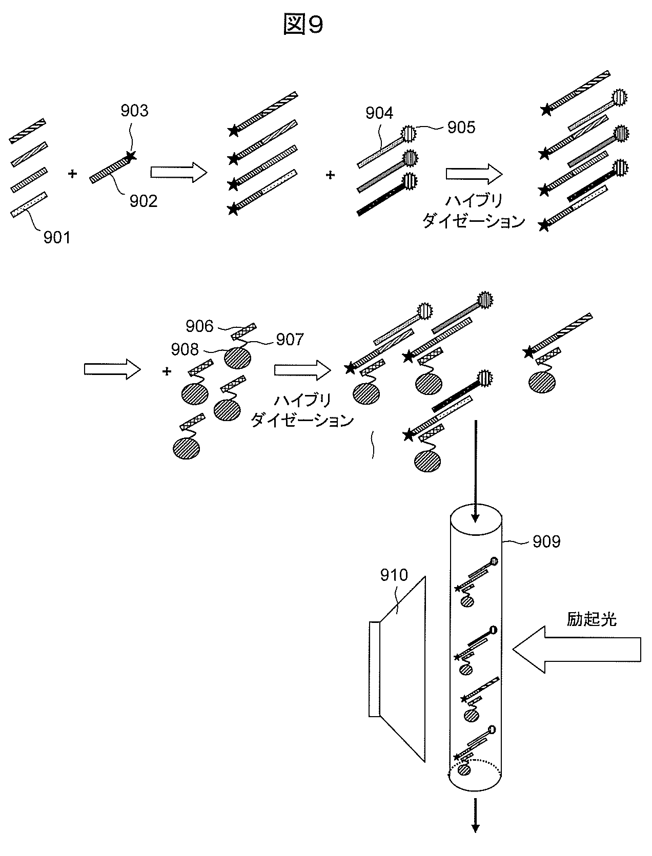 wo2013051651a1 生体分子分析方法及び生体分子分析装置 google patents