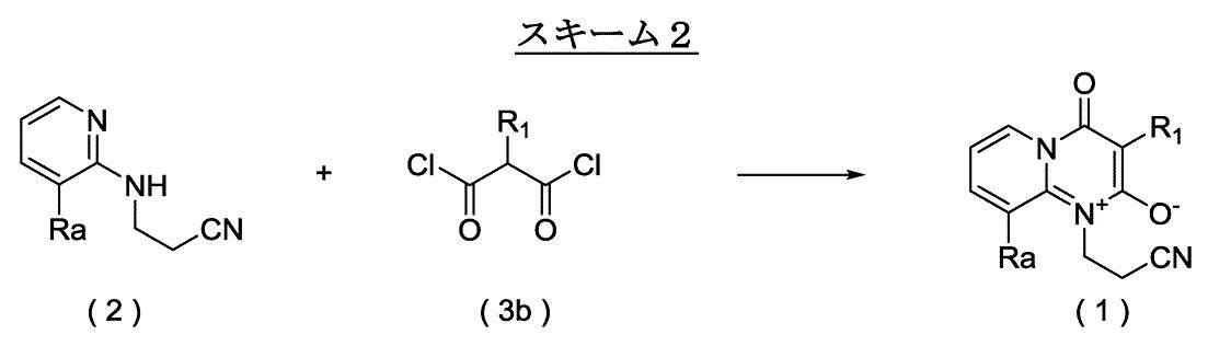 Figure JPOXMLDOC01-appb-C000020
