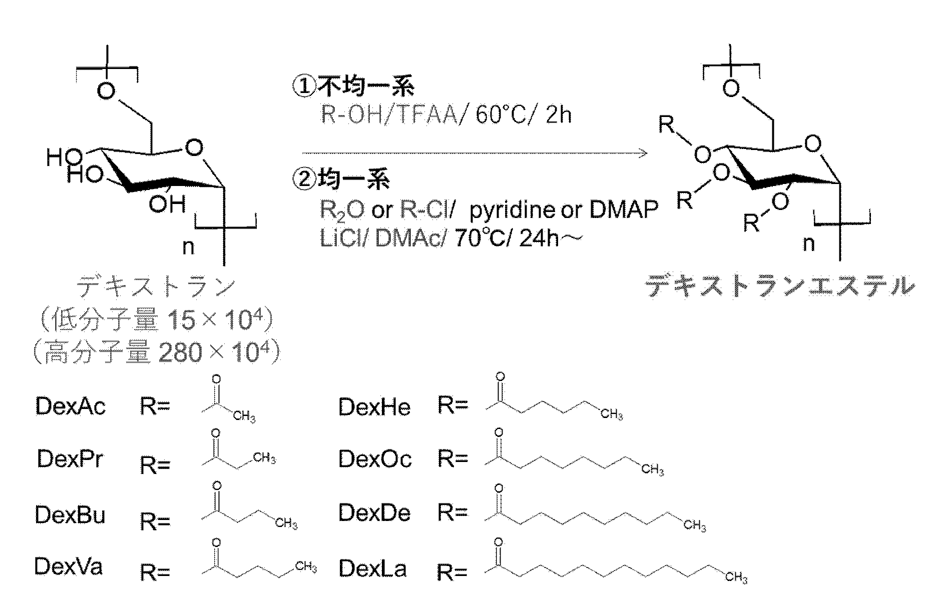Figure JPOXMLDOC01-appb-C000008