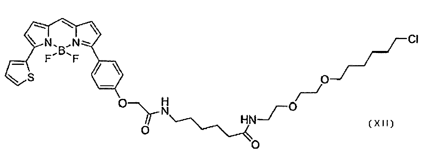 Figure imgb0069