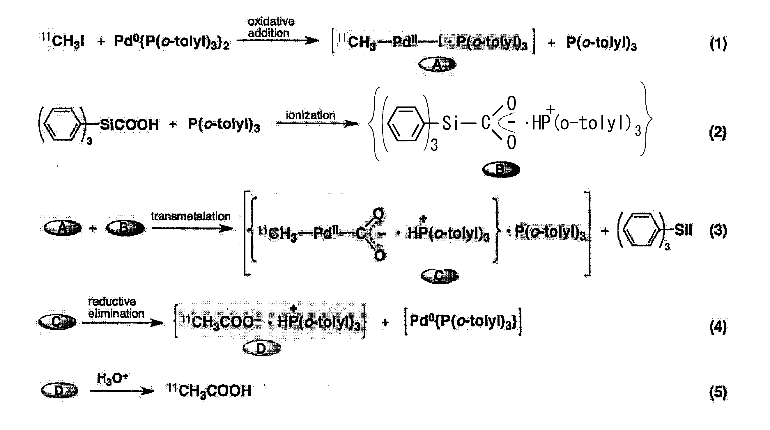 Figure JPOXMLDOC01-appb-C000006
