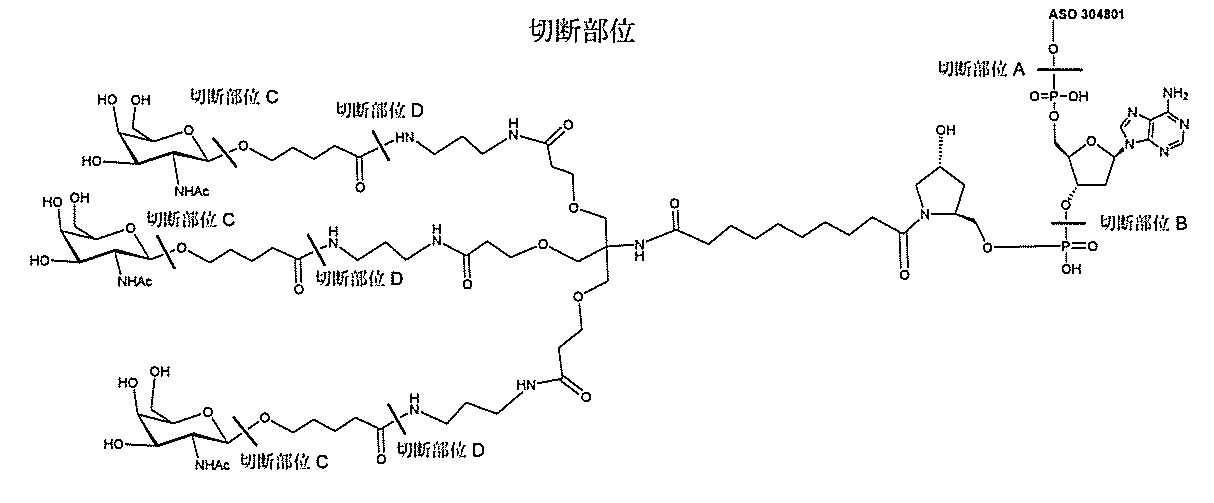 Figure 2022017514000247