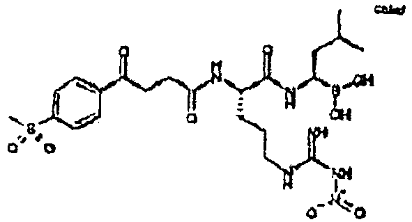Figure imgb0552
