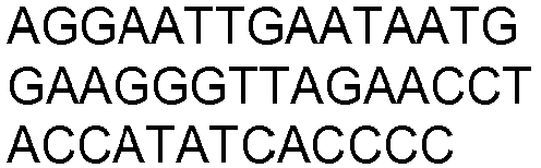 Figure imgb0803