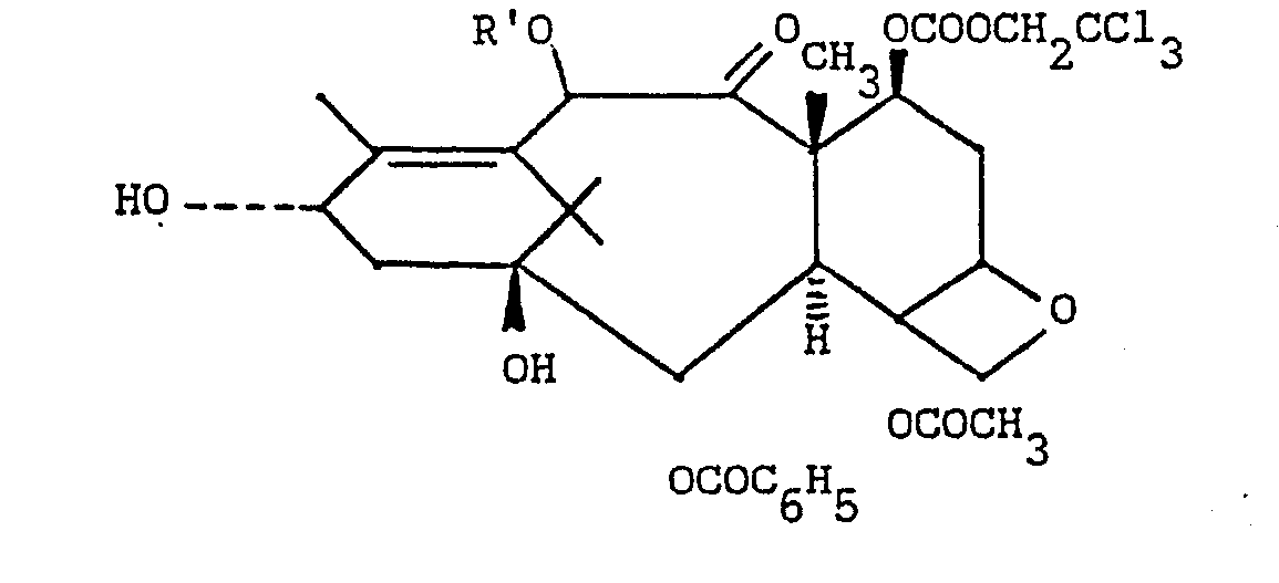 Figure imgb0019