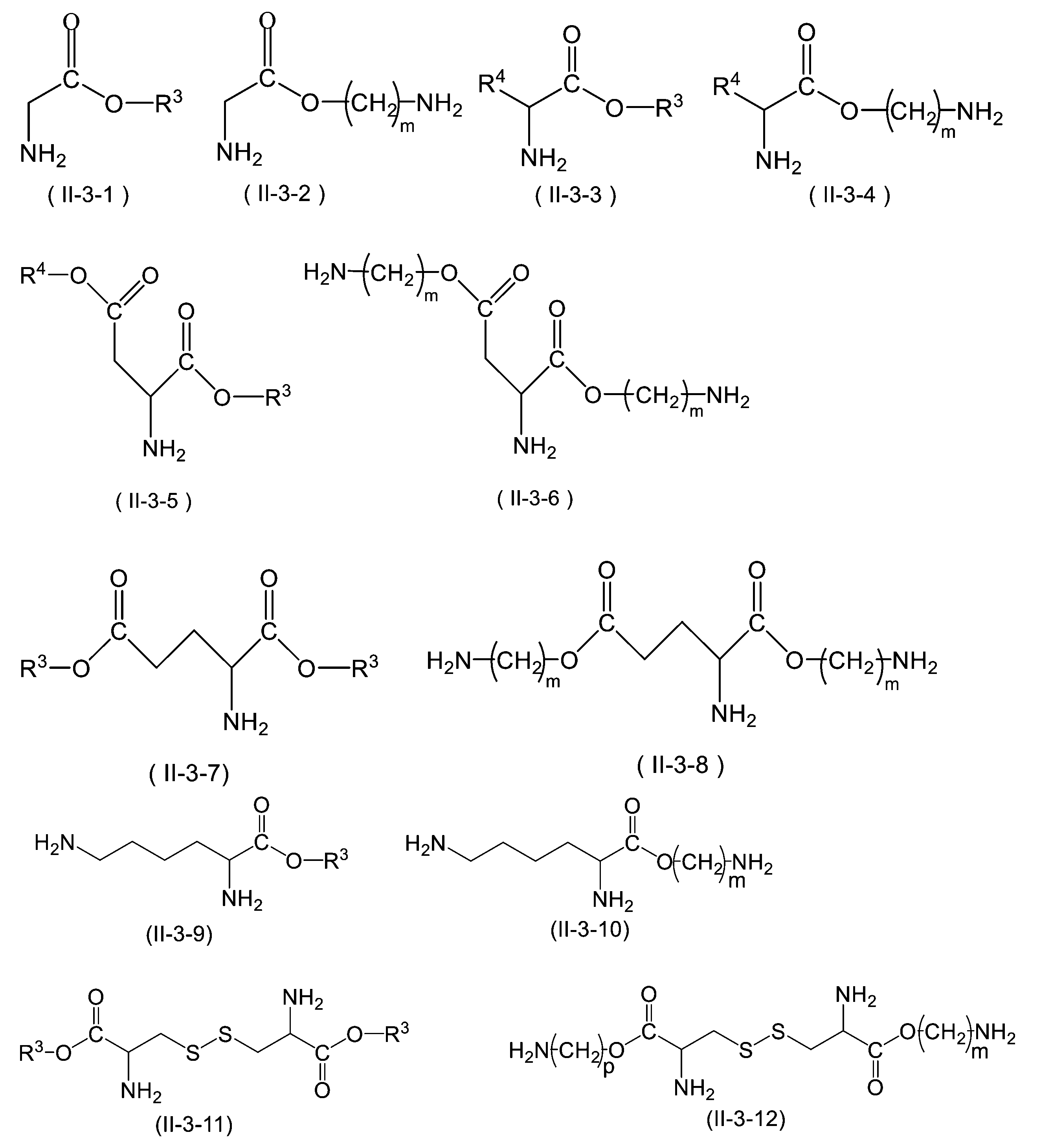 Figure JPOXMLDOC01-appb-C000037