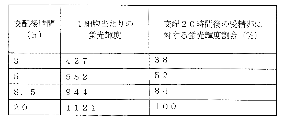 Figure JPOXMLDOC01-appb-T000002