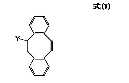 Figure JPOXMLDOC01-appb-C000007