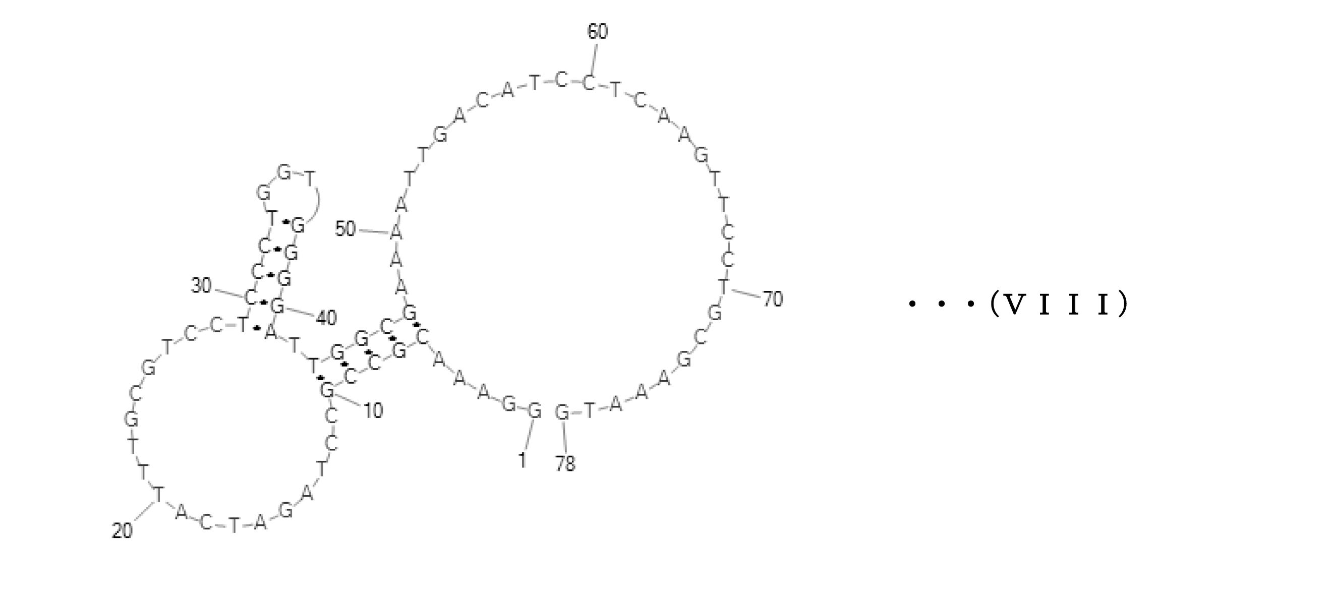 Figure JPOXMLDOC01-appb-C000008
