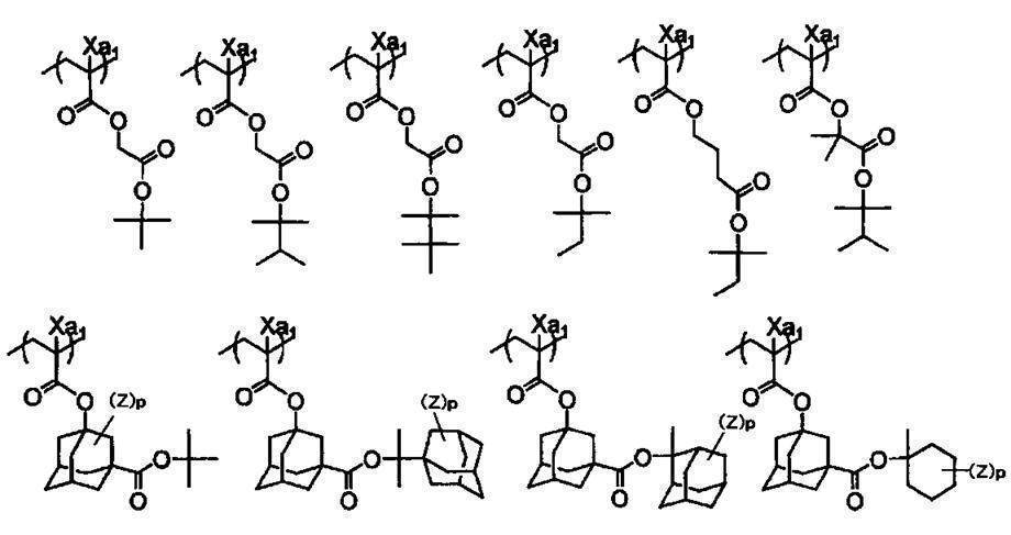 Figure JPOXMLDOC01-appb-C000031