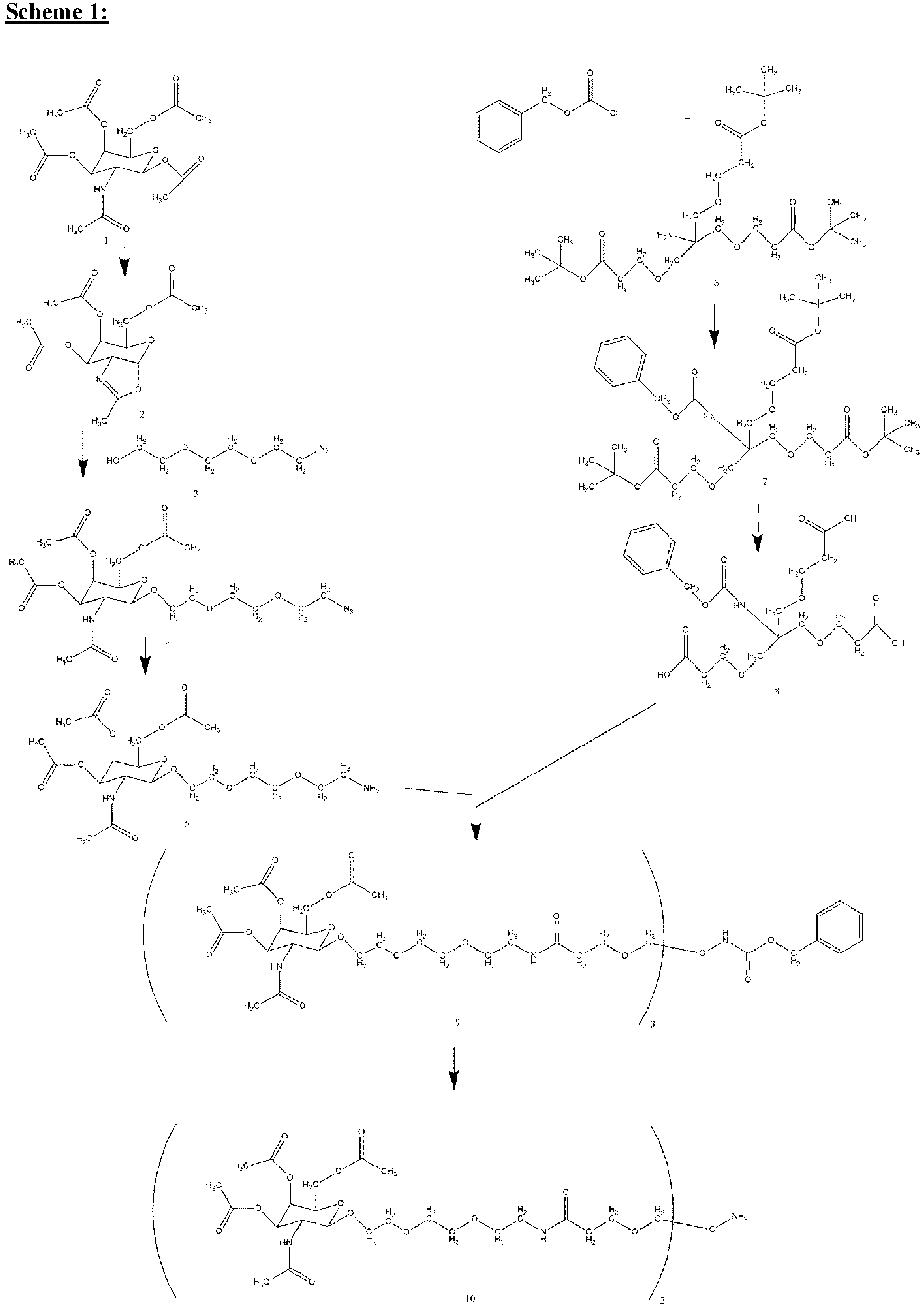 Figure imgb0025