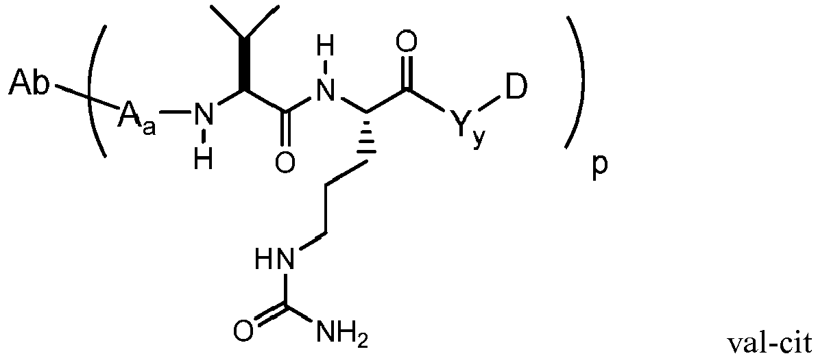 Figure imgb0010