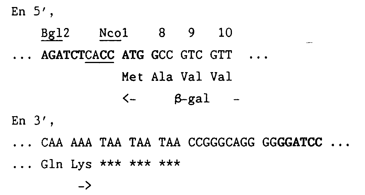 Figure 00210001
