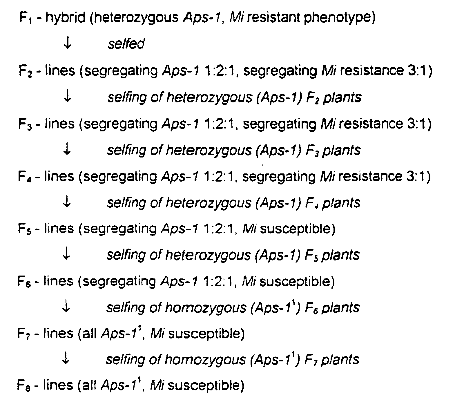 Figure 00350001