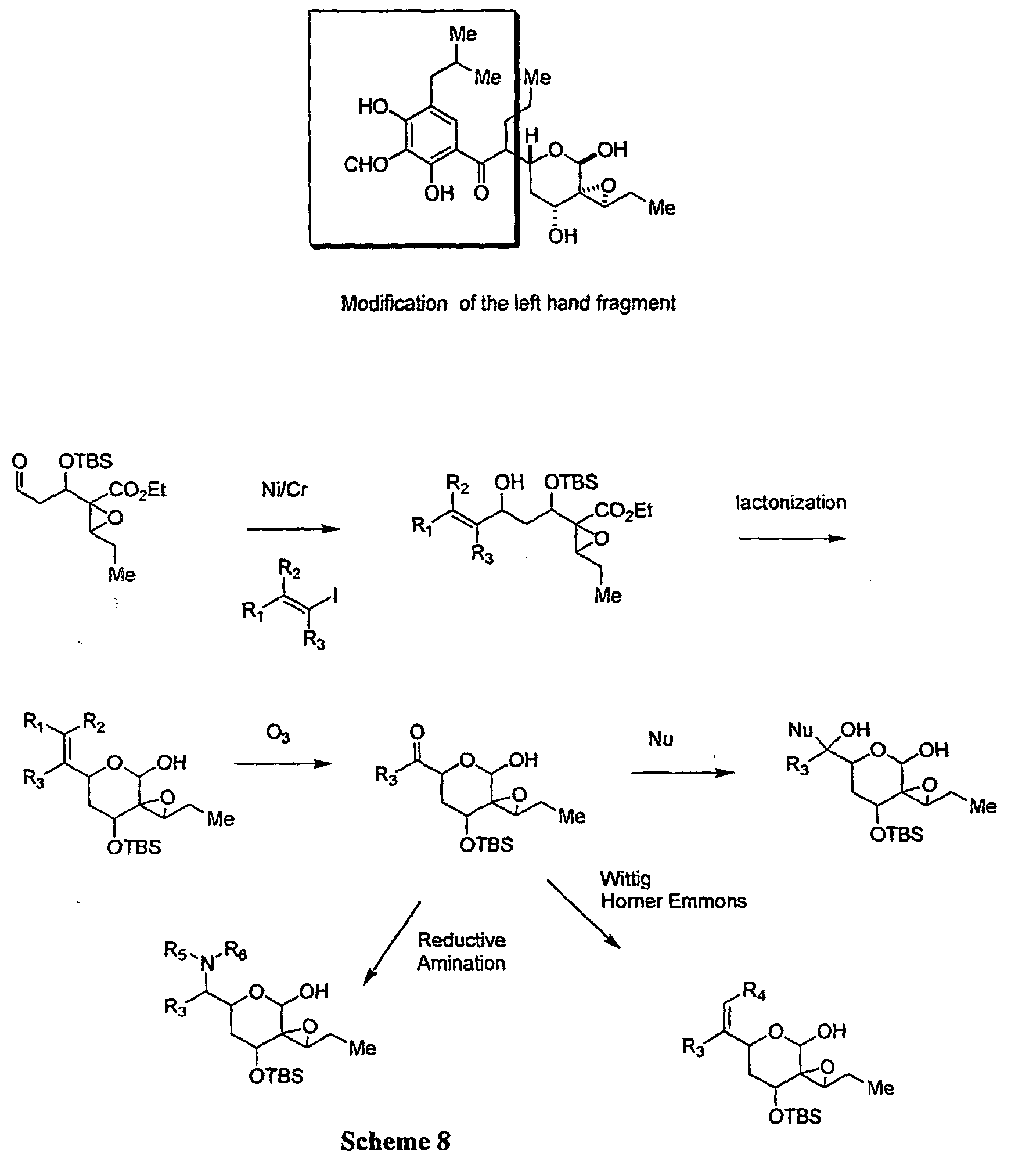 Figure 00310001