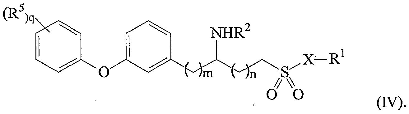 Figure imgf000010_0001