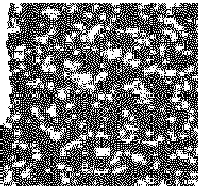Figure imgb0133